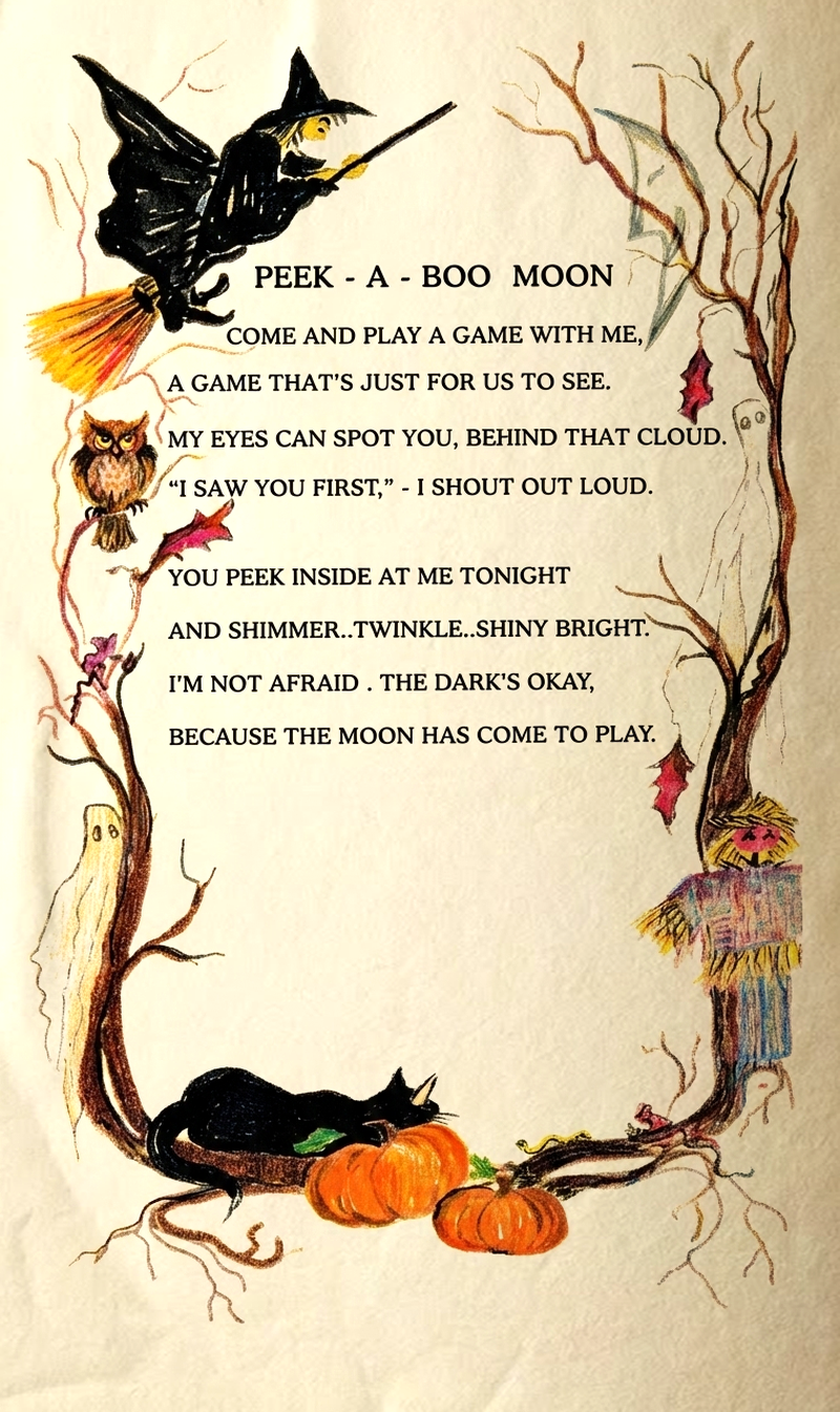 Peek A Boo Moon | Children's Poem Book